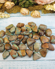 Natural Turquoise Tumbled Gemstone - One Stone or Bulk Wholesale Lot - Group on Board