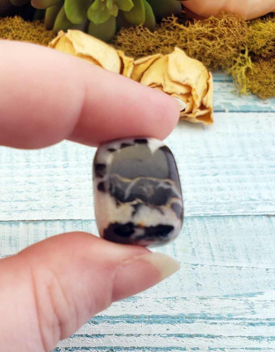 Zebra Jasper Natural Tumbled Gemstone - Single Stone or Bulk Wholesale Lots - One Stone Up Close