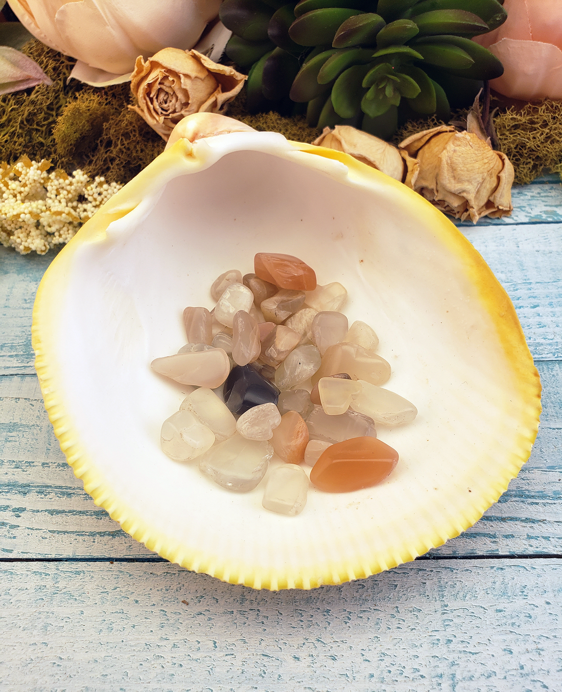 Mini Moonstone Tumbled Gemstone - Multi Stone or Bulk Wholesale Lots - In Shell