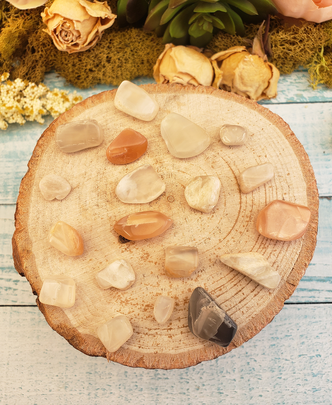 Mini Moonstone Tumbled Gemstone - Multi Stone or Bulk Wholesale Lots - On Wooden Platform