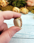 Picture Jasper Tumbled Gemstone - One Stone or Bulk Wholesale Lots - One Stone in Hand Close Up