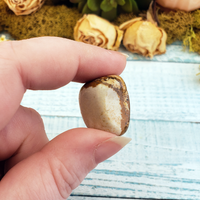 Picture Jasper Tumbled Gemstone - One Stone or Bulk Wholesale Lots - One Stone in Hand Close Up