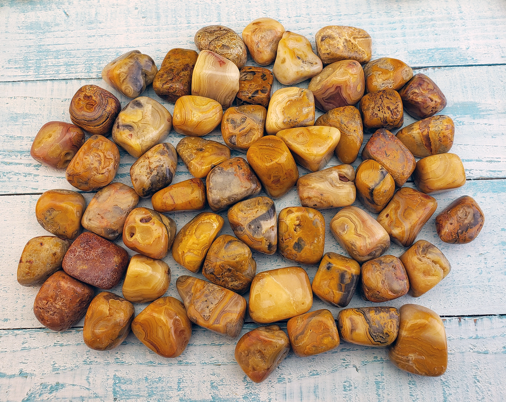 Golden Crazy Lace Agate Tumbled - One Stone or Bulk Wholesale Lots - Group on Board