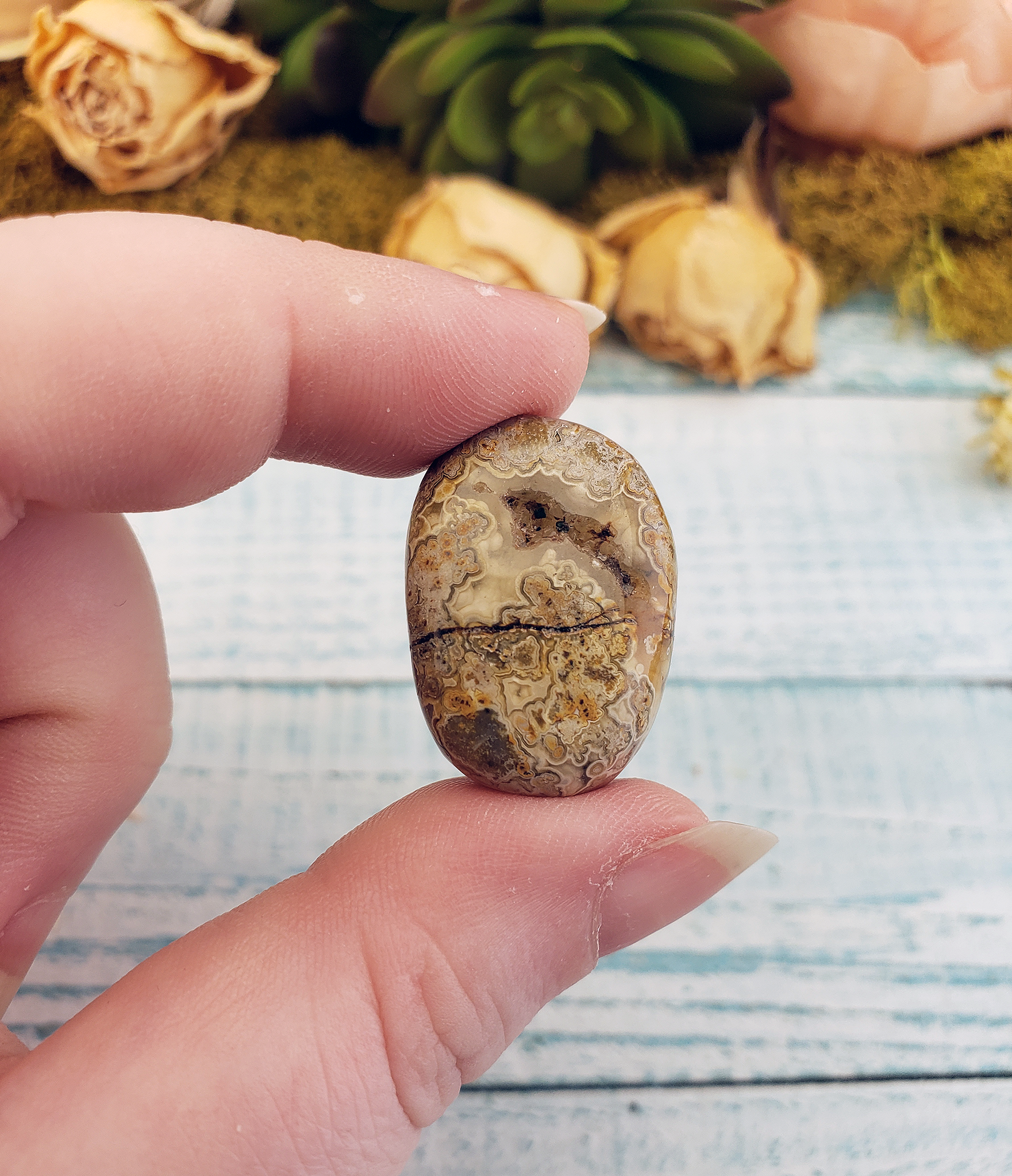 Golden Crazy Lace Agate Tumbled - One Stone or Bulk Wholesale Lots - One Stone Close Up