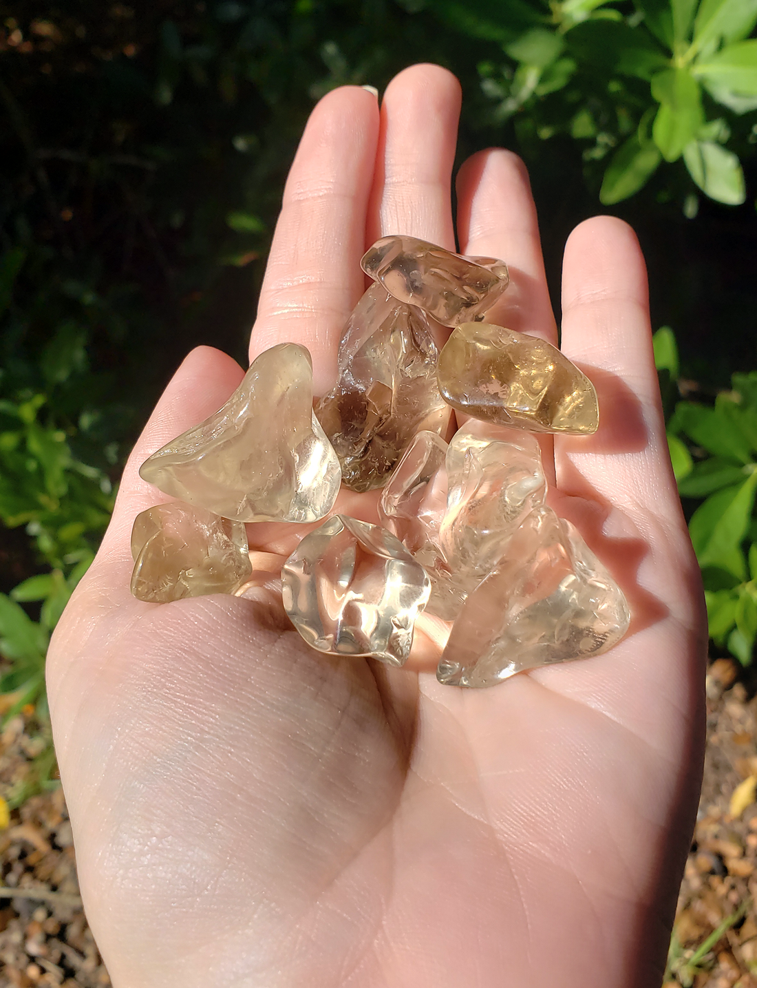Smoky Quartz Tumbled Gemstone - One Stone or Bulk Wholesale Lots - Outdoor Light on Group in Hand