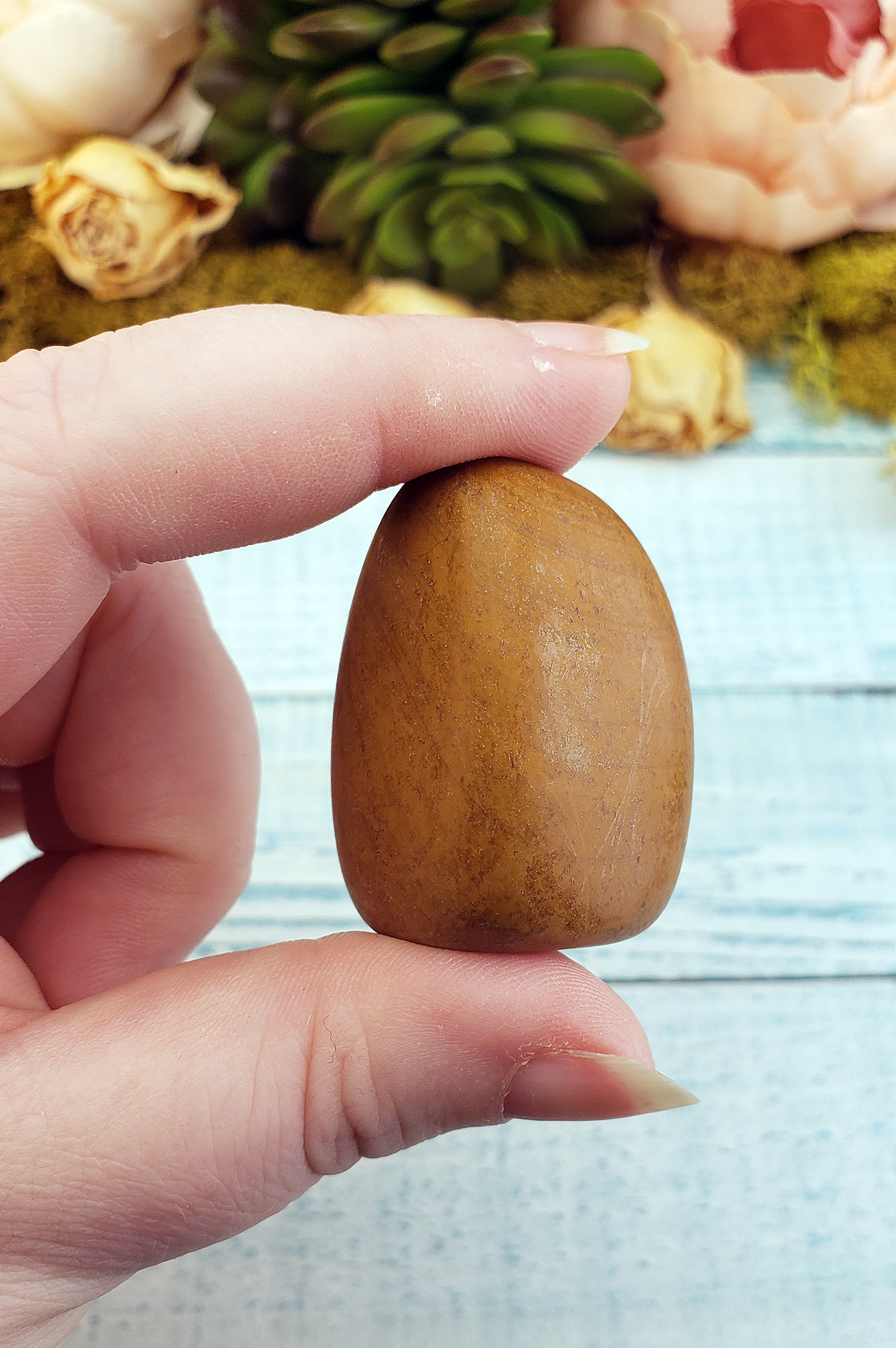 Picture Jasper Tumbled Gemstone - One Stone or Bulk Wholesale - One Stone in Hand