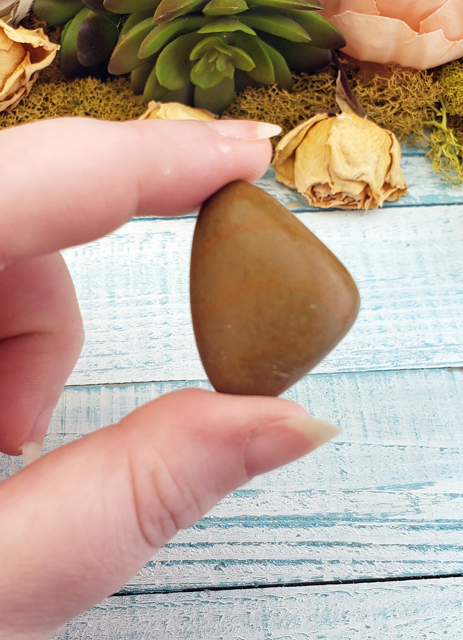 Picture Jasper Tumbled Gemstone - One Stone or Bulk Wholesale - Once Stone Close Up