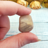 Agatized Coral Tumbled Gemstone - One Stone or Bulk Wholesale Lots - One Stone Close Up