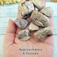 Grey Crazy Lace Agate Tumbled Stone - One Stone or Bulk Wholesale - 4 Ounces in Hand
