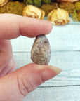Grey Crazy Lace Agate Tumbled Stone - One Stone or Bulk Wholesale - Amazing Layers