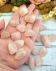 Rose Quartz Tumbled Gemstone - One Stone or Bulk Wholesale Lots - Group in Hand