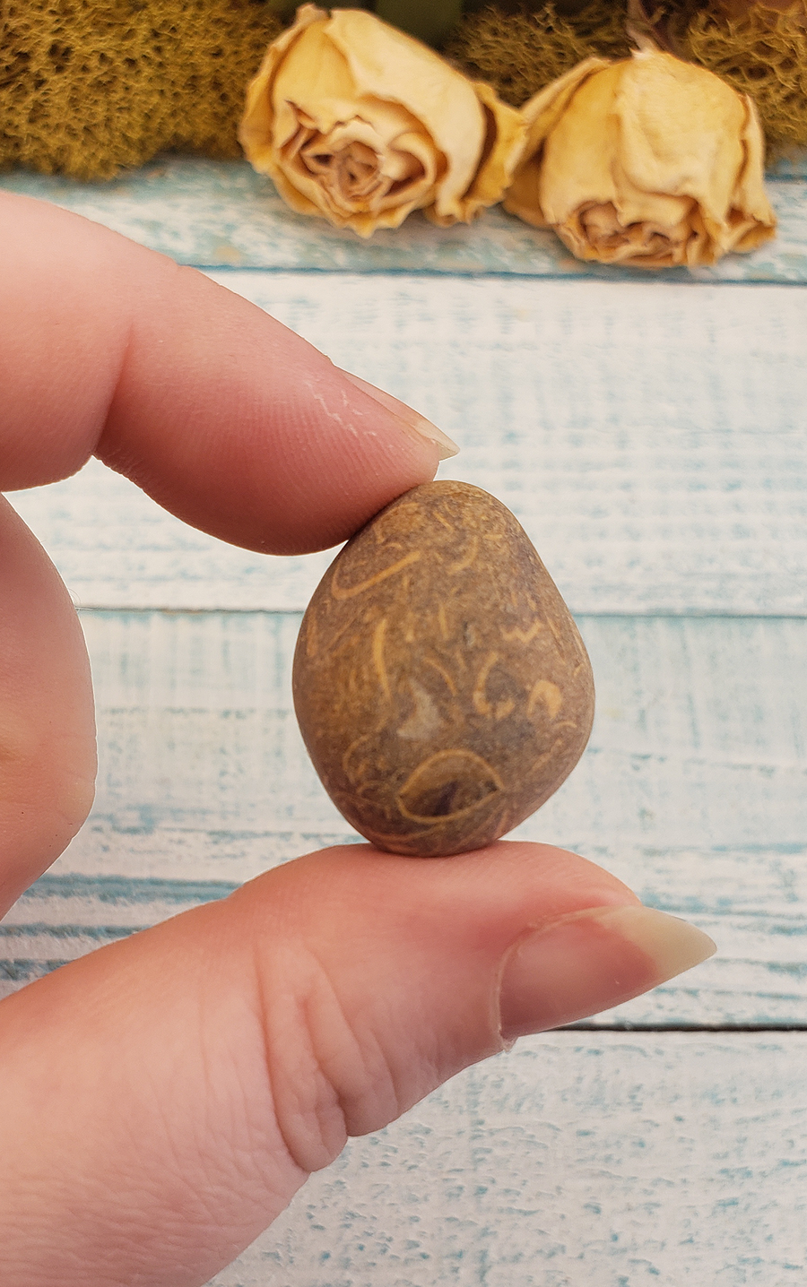 Calligraphy Stone Tumbled Gemstone - Medium One Stone Close Up