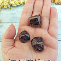 Garnet Natural Tumbled Gemstone - Alternative 2 Ounces in Hand