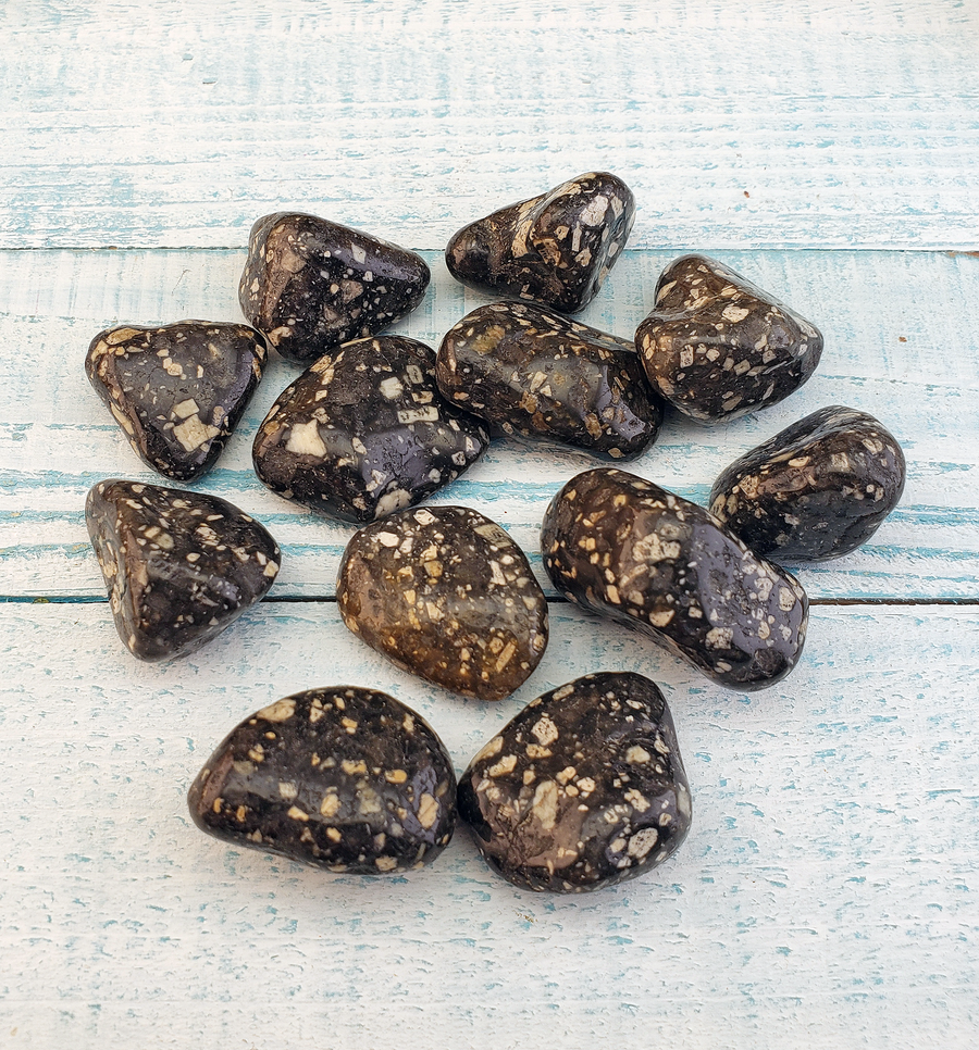 Guinea Fowl Jasper Natural Tumbled Gemstone - Small One Stone on Board