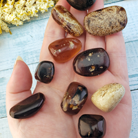 Zebra Amber Natural Tumbled Fossil Tree Resin Organic Gemstone - Lightweight Natural Amber