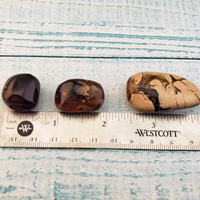 Zebra Amber Natural Tumbled Fossil Tree Resin Organic Gemstone - Size Comparisons