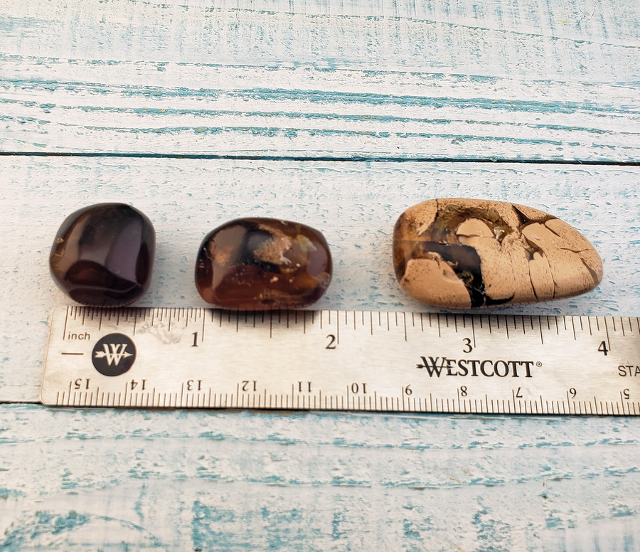Zebra Amber Natural Tumbled Fossil Tree Resin Organic Gemstone - Size Comparisons