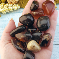 Zebra Amber Natural Tumbled Fossil Tree Resin Organic Gemstone - Large Beautiful Amber Pieces