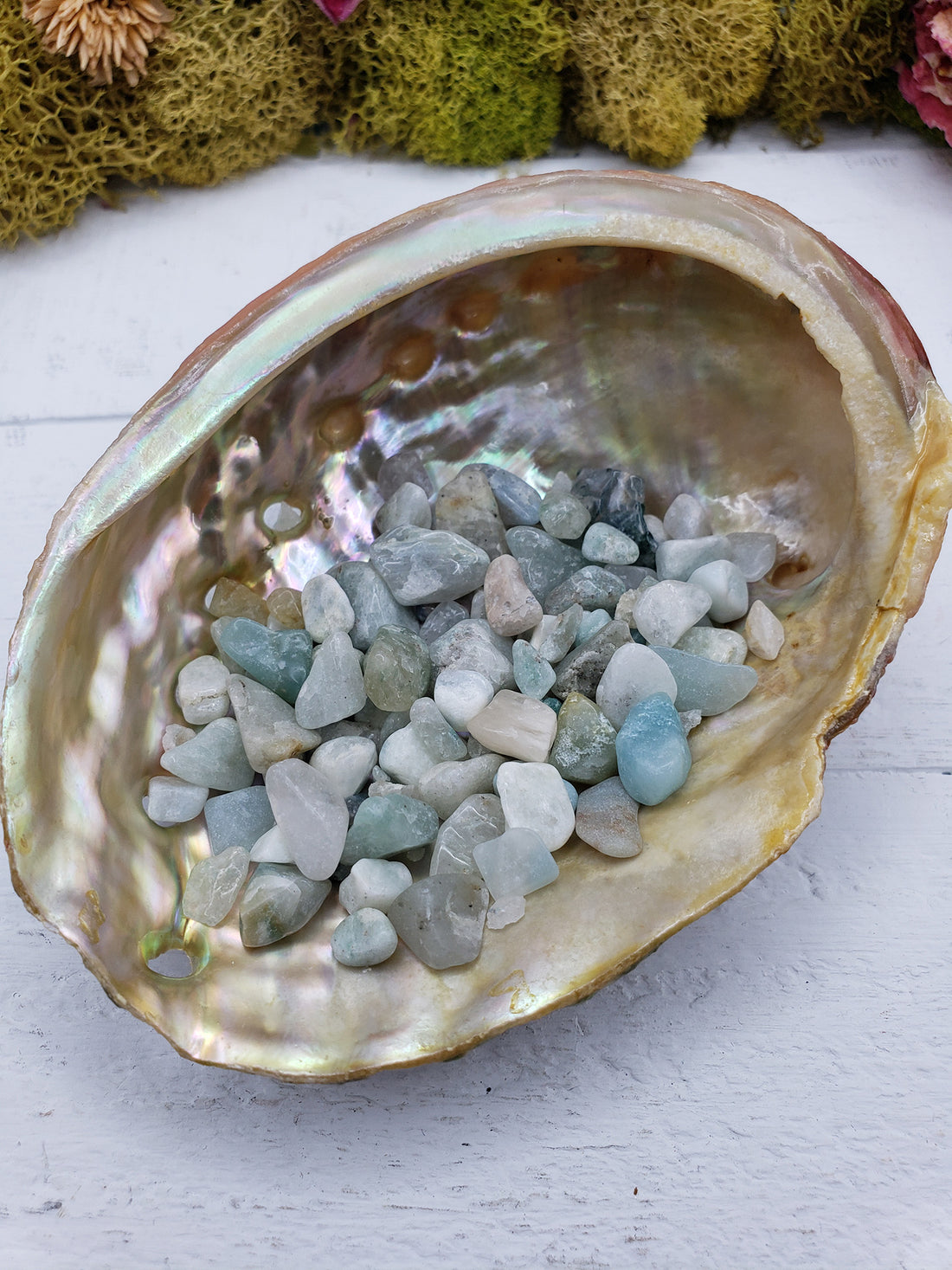 abalone shell with one ounce of amazonite  crystal chips