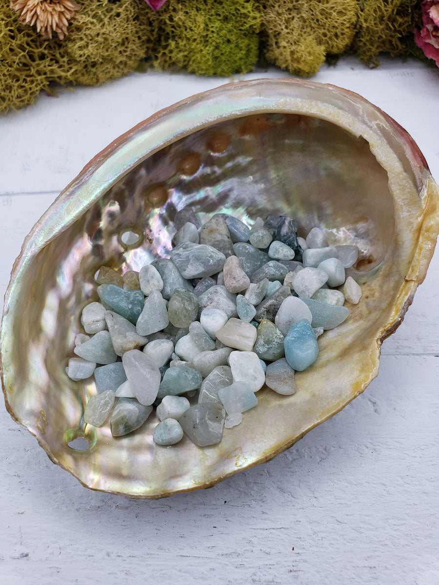 abalone shell with one ounce of amazonite  crystal chips