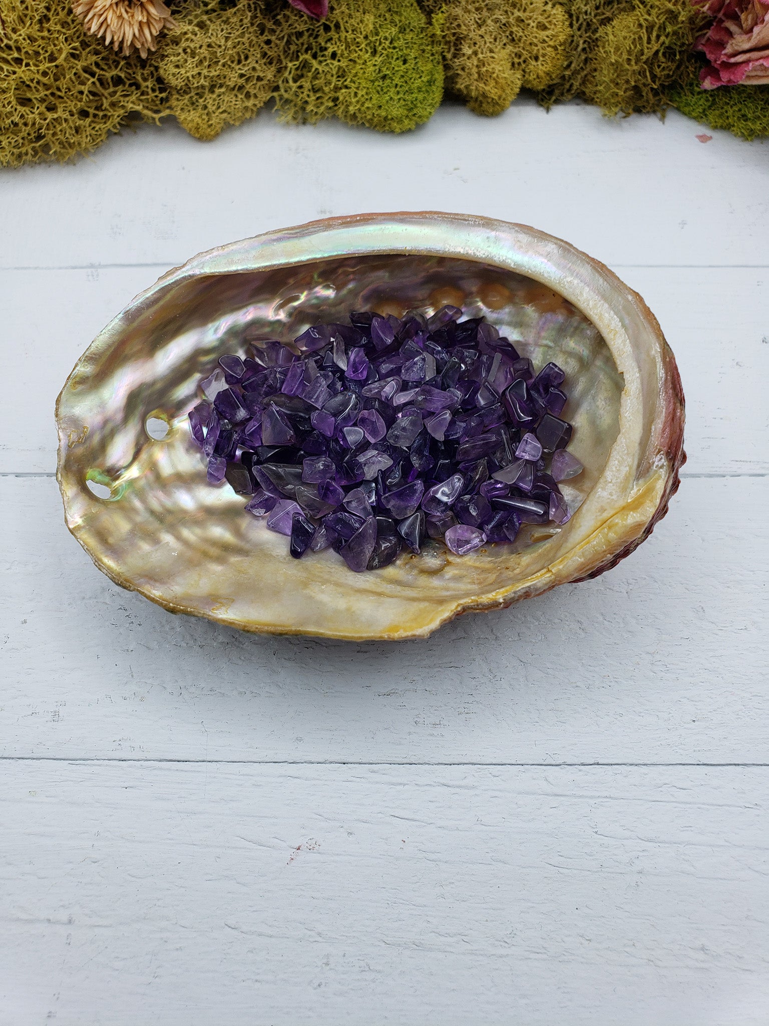 abalone shell with 1 ounce of amethyst stone chips