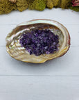 abalone shell with 1 ounce of amethyst stone chips
