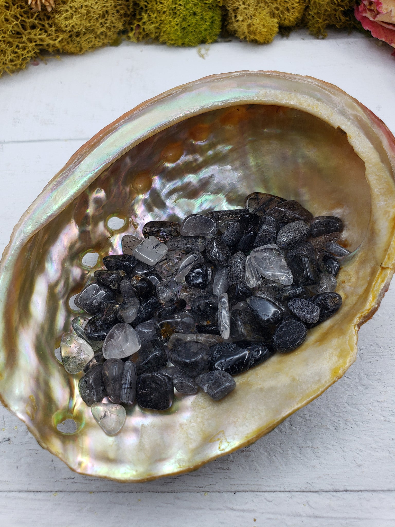 abalone shell with 1 ounce of black tourmaline rutilated quartz