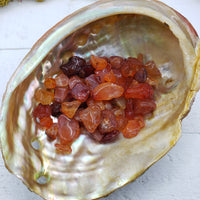 abalone shell with one ounce of carnelian crystal chips