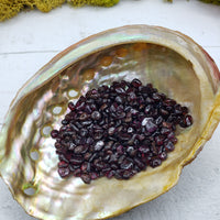 one ounce of garnet chips in abalone shell