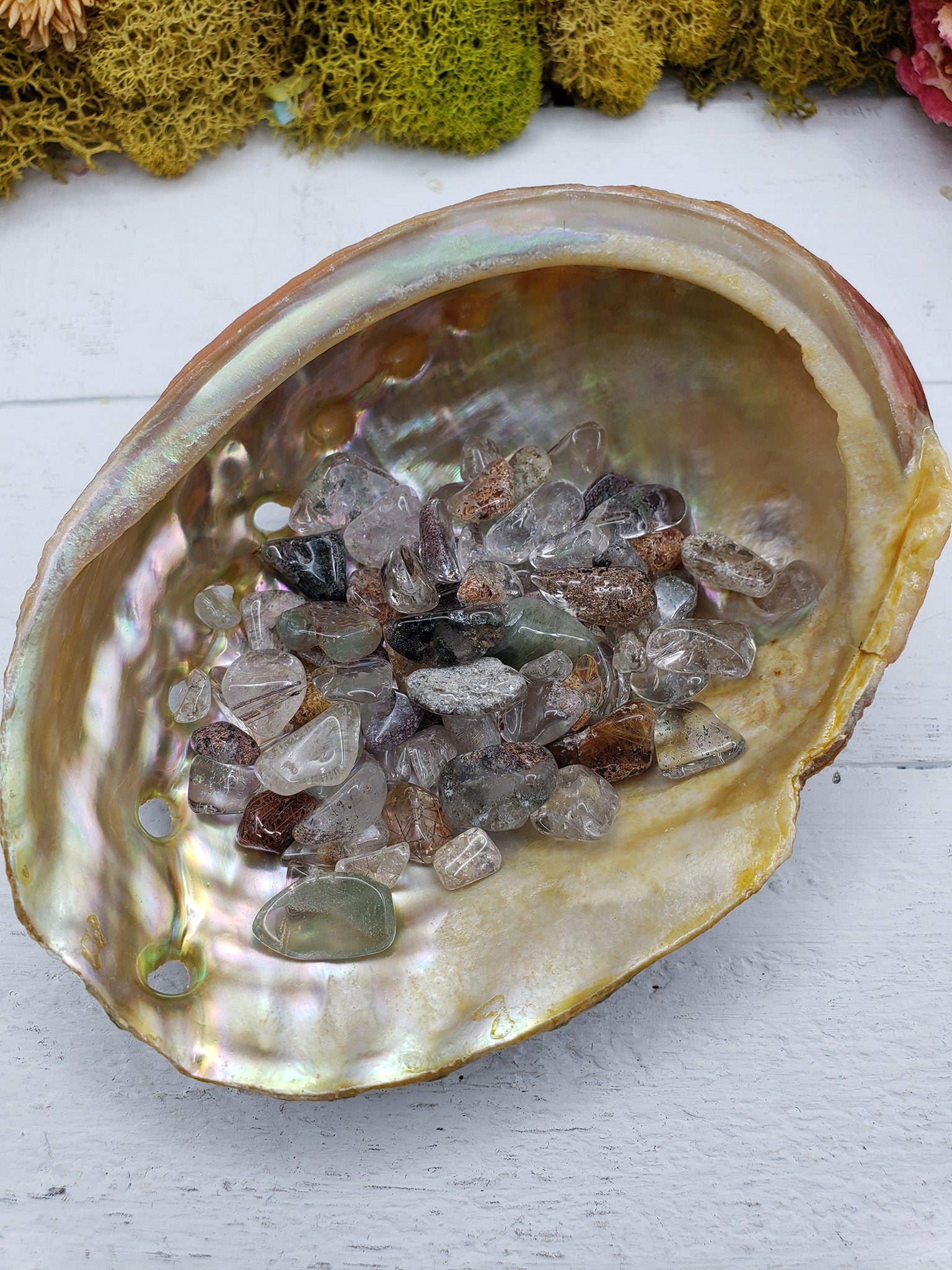 One ounce of phantom quartz chips in abalone shell