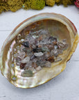 One ounce of phantom quartz chips in abalone shell