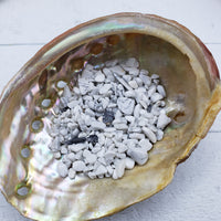 One ounce of howlite crystal chips in abalone shell
