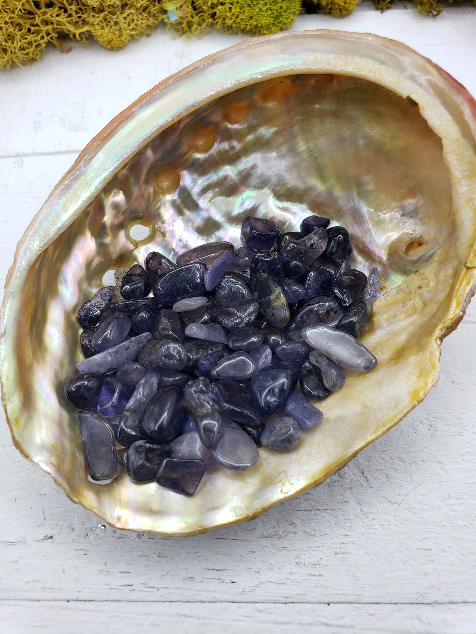 One ounce of iolite crystal chips in abalone shell