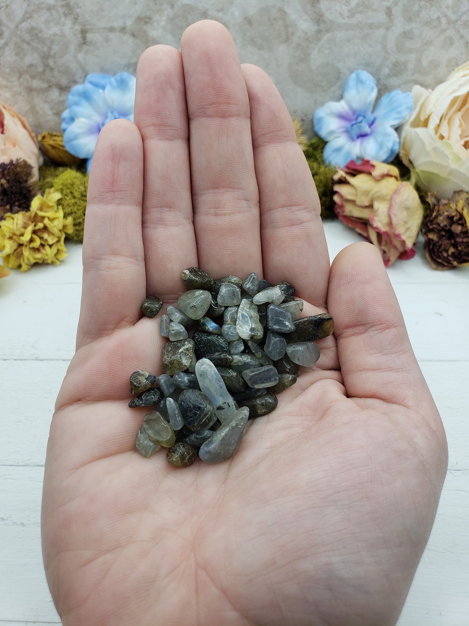 Hand holding one ounce of labradorite chips