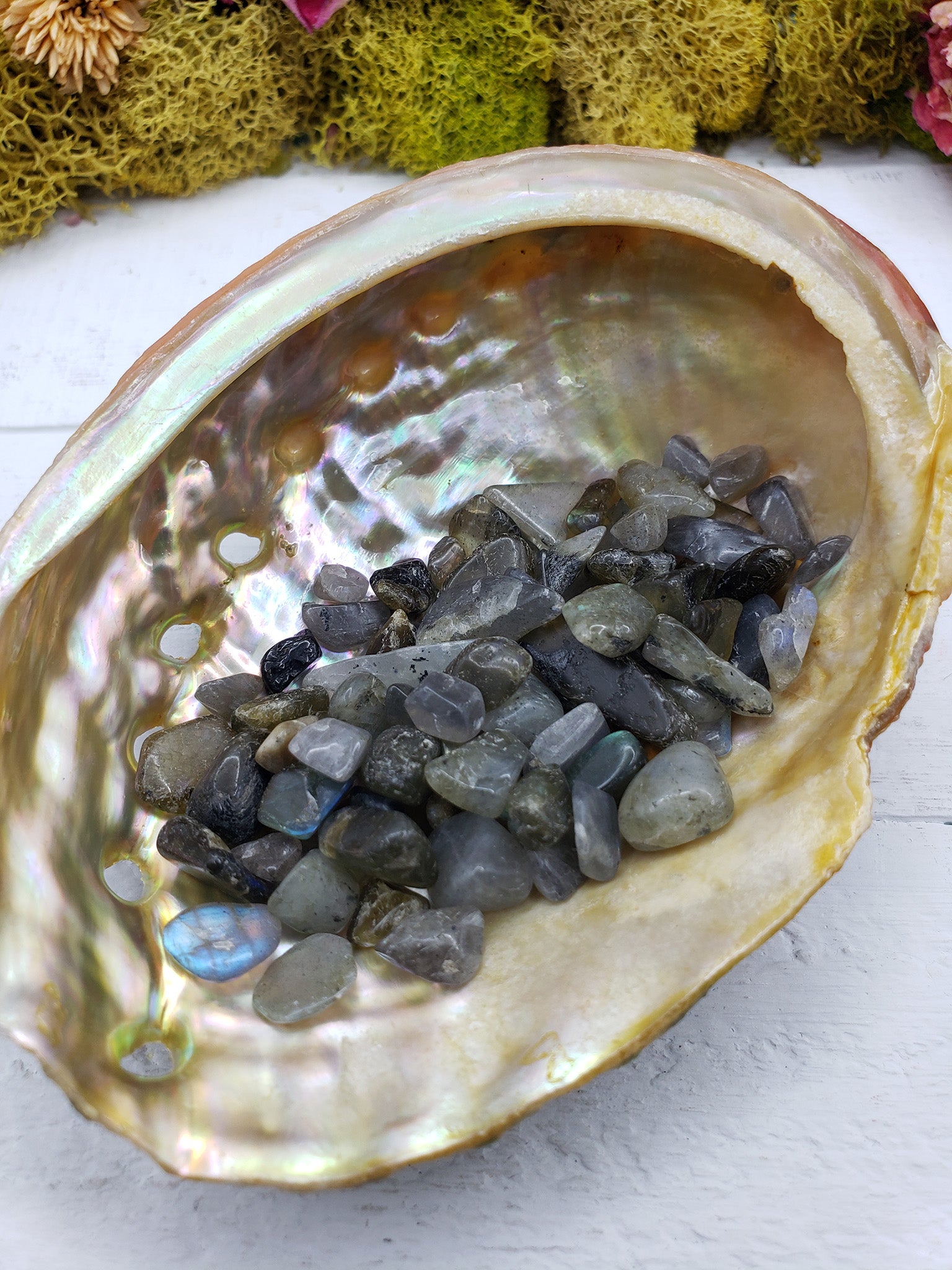 One ounce of labradorite crystal chips in abalone shell