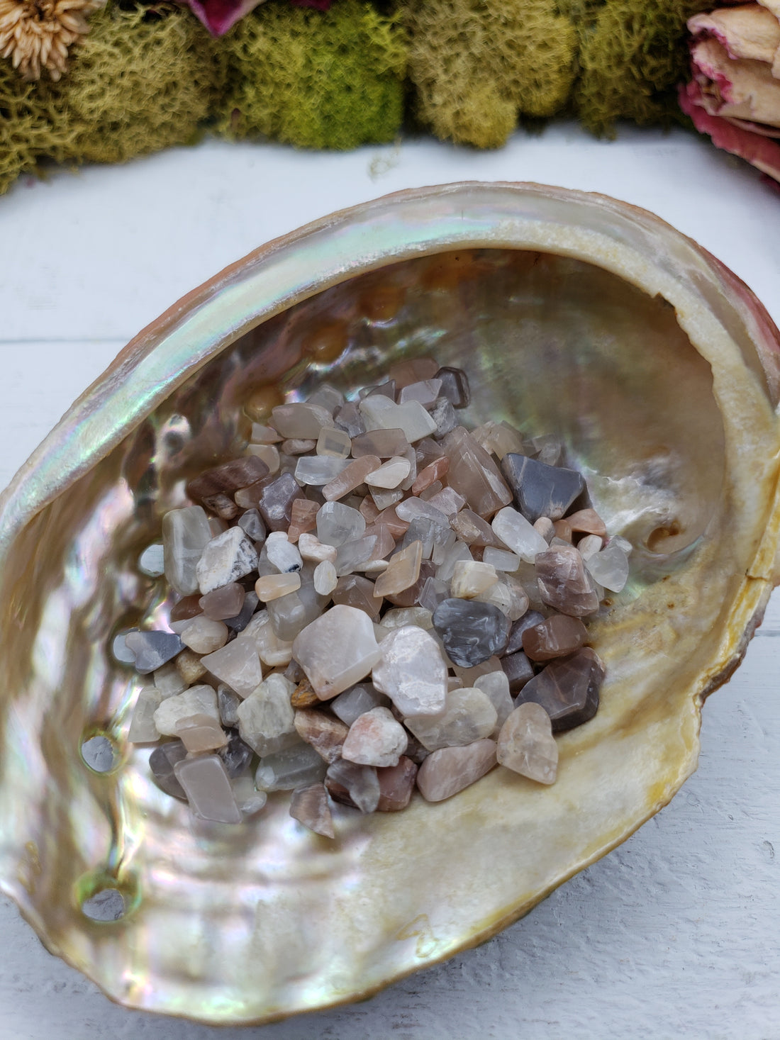One ounce of moonstone crystal chips in abalone shell