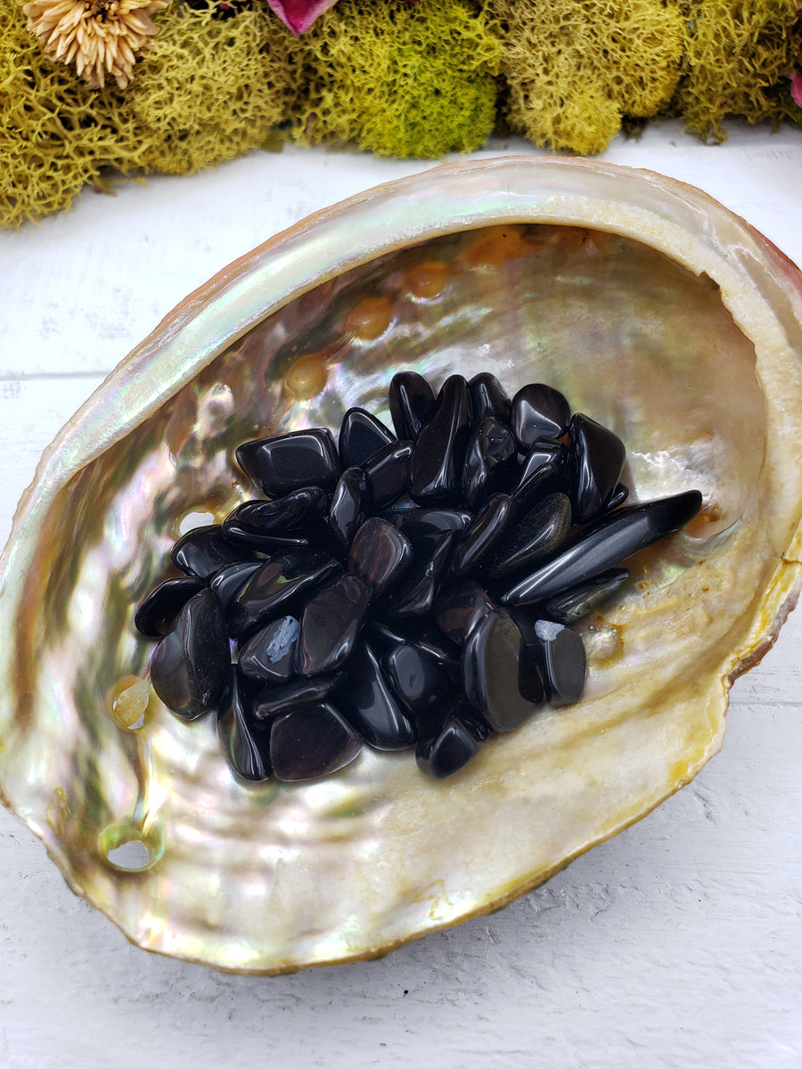 One ounce of Obsidian  stone chips in abalone shell