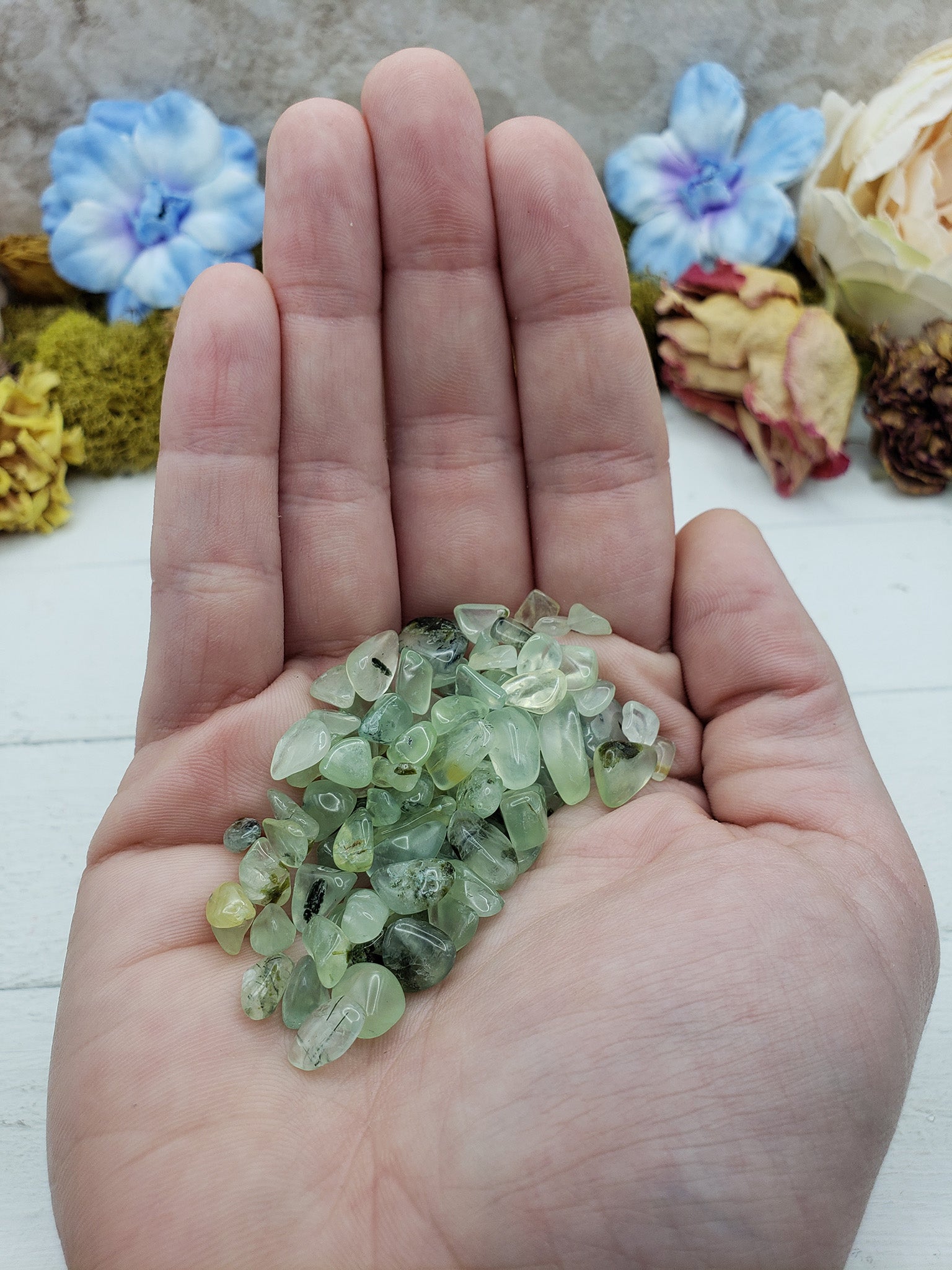 Hand holding one ounce of prehnite  chips