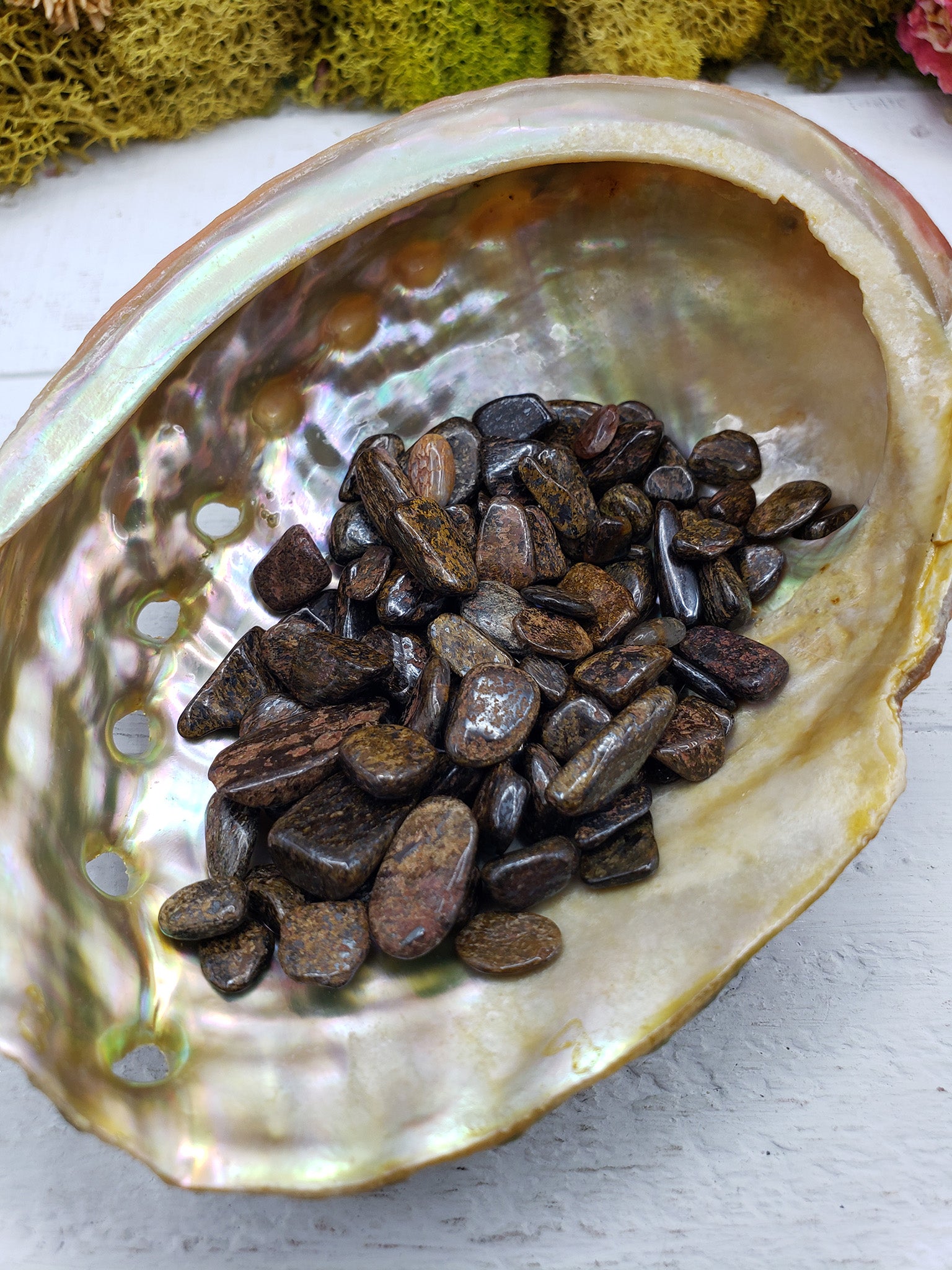 abalone shell with one ounce of bronzite chips