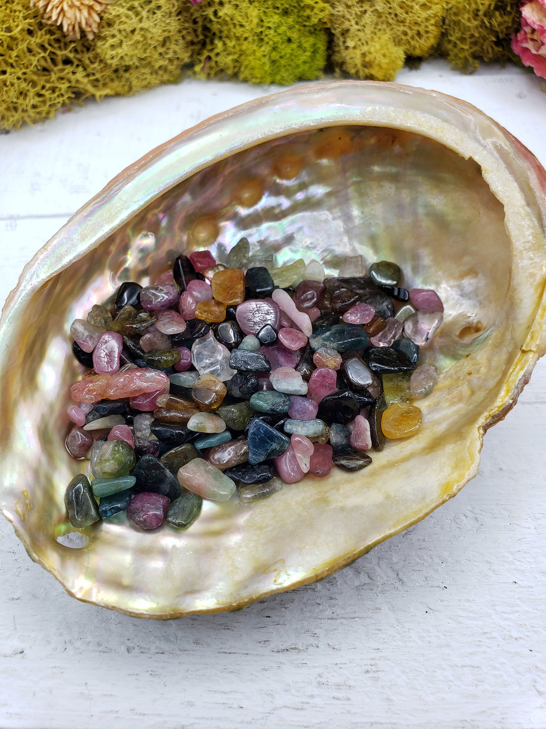 One ounce of mixed multi tourmaline chips in abalone shell