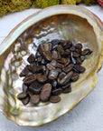 abalone shell with one ounce of bronzite chips
