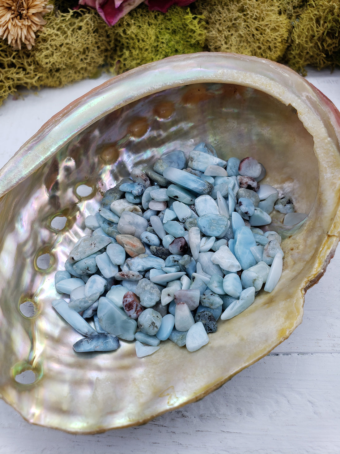 One ounce of larimar stone chips in abalone shell