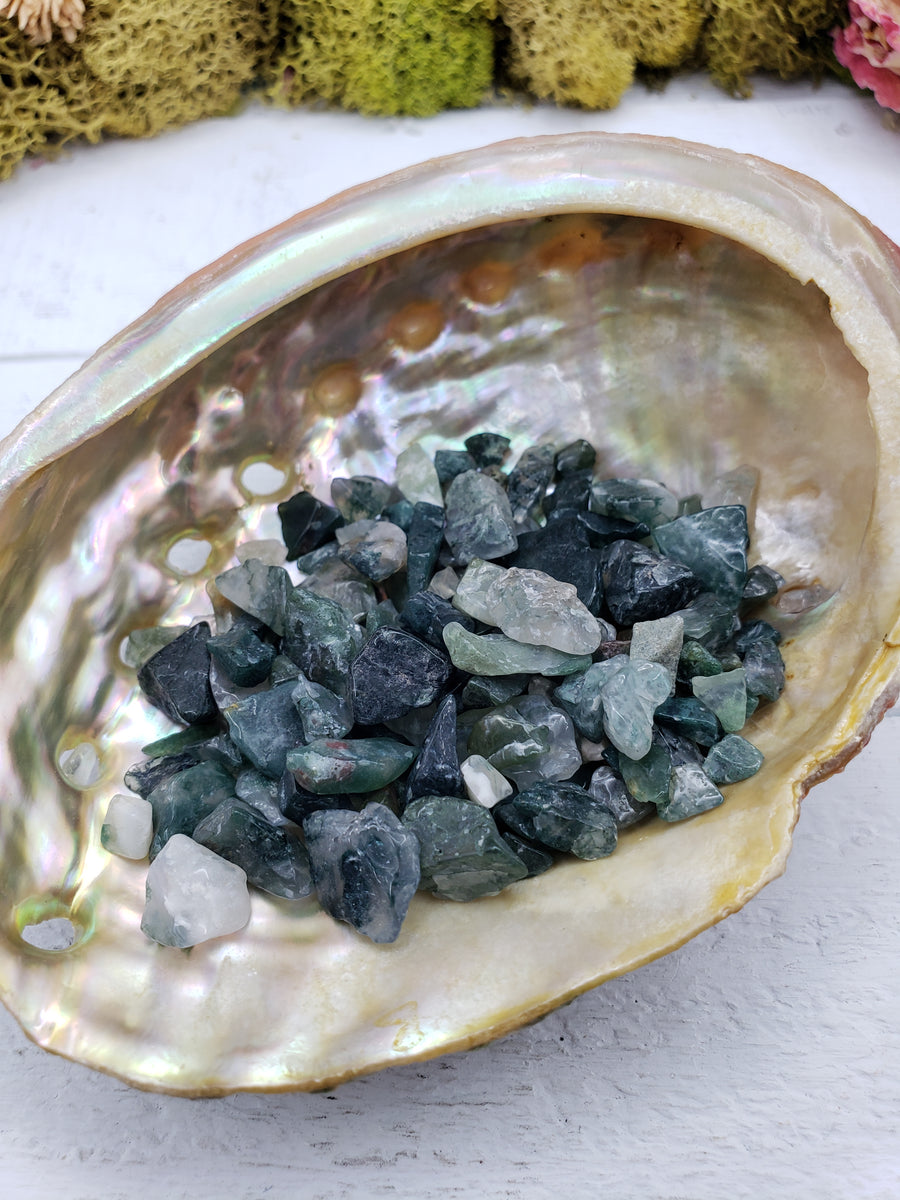 One ounce of moss agate chips in abalone shell