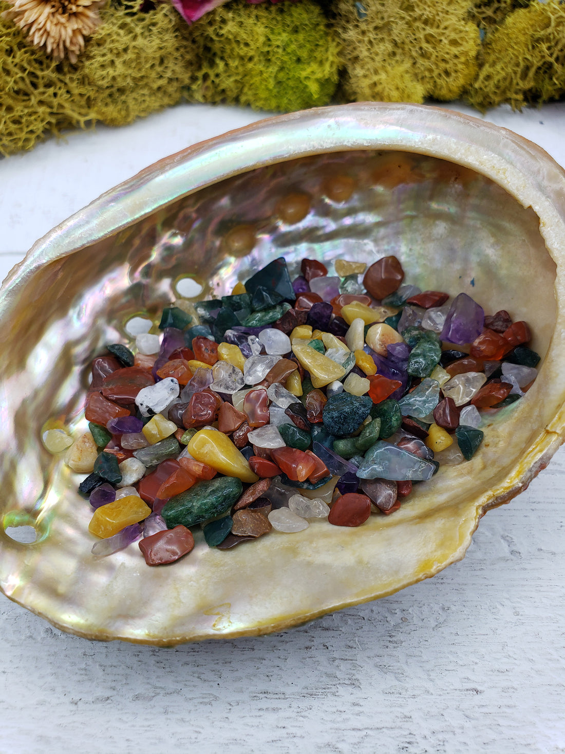 One ounce of mixed gemstone crystal chips in abalone shell