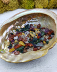 One ounce of mixed gemstone crystal chips in abalone shell