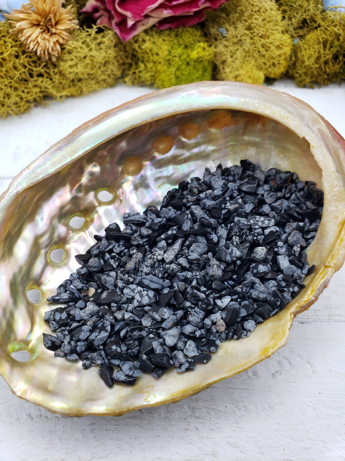 one ounce of snowflake obsidian chips in abalone shell