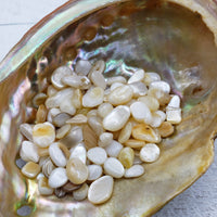 1 ounce of mother of pearl chips in abalone shell