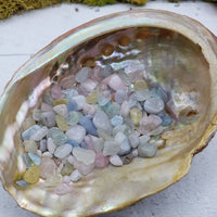 One ounce of morganite chips in abalone shell