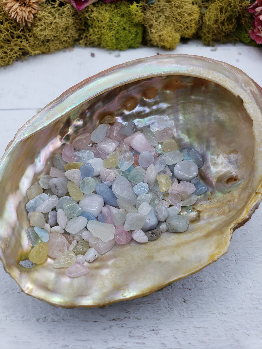 One ounce of morganite chips in abalone shell