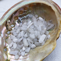 One ounce of rainbow moonstone chips in abalone shell
